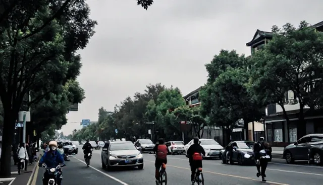 创业团队如何高效应对技术服务中的常见问题